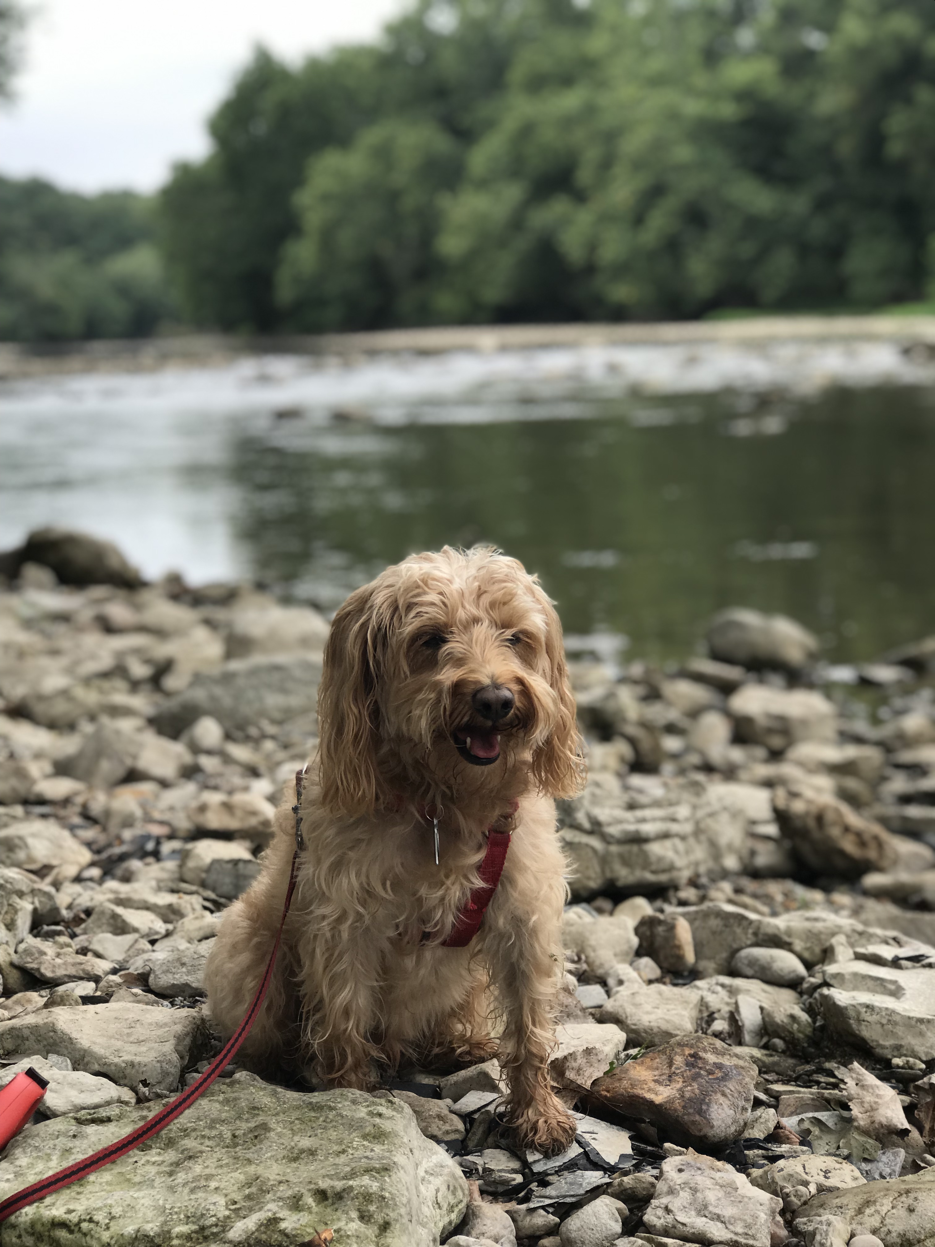 Date not firm: Northshore, MN