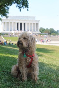 2015: Lincoln Memorial, Washington, DC