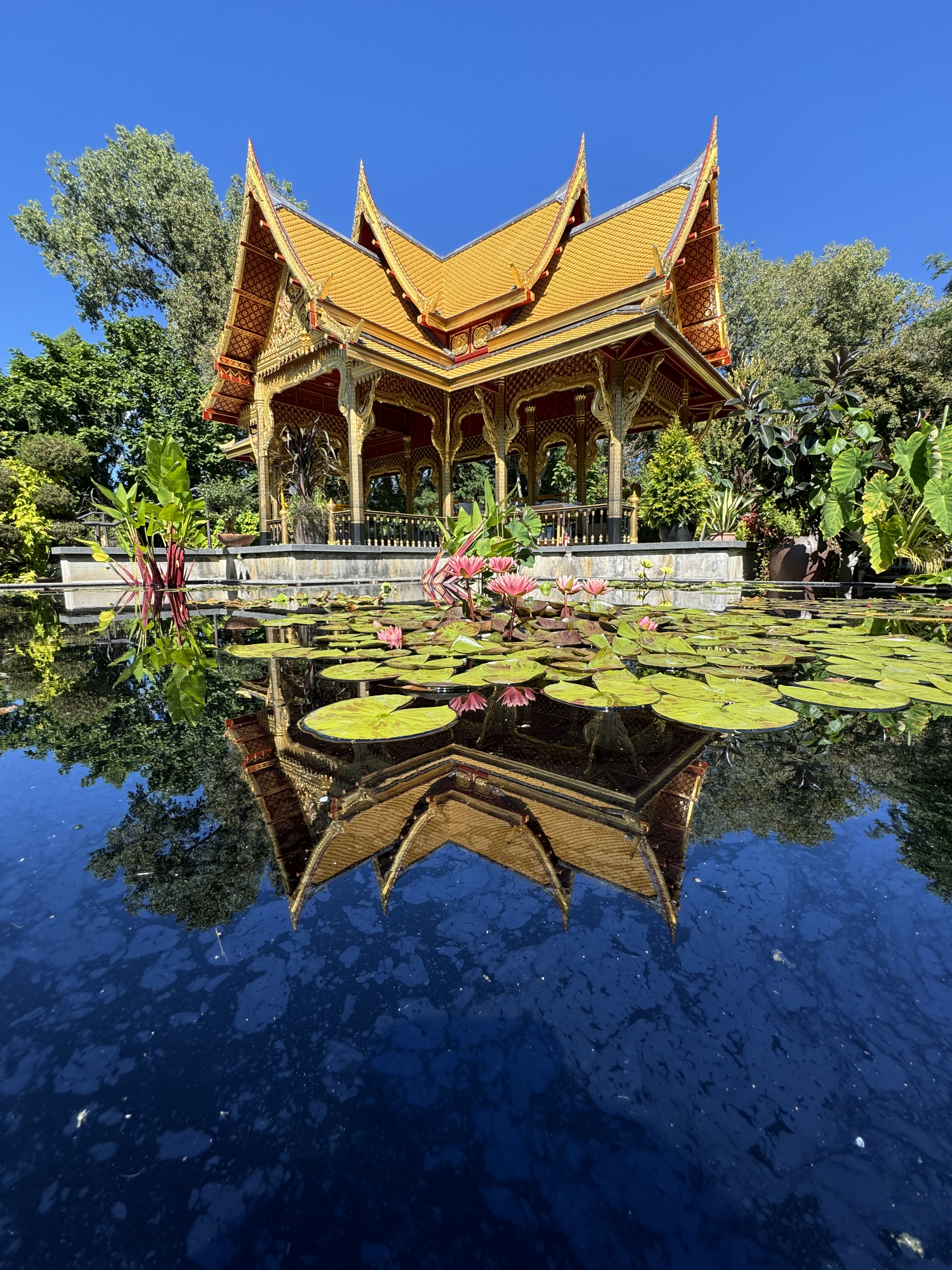 Sep 2, 2024: Royal Thai Pavilion, Madison, WI, USA