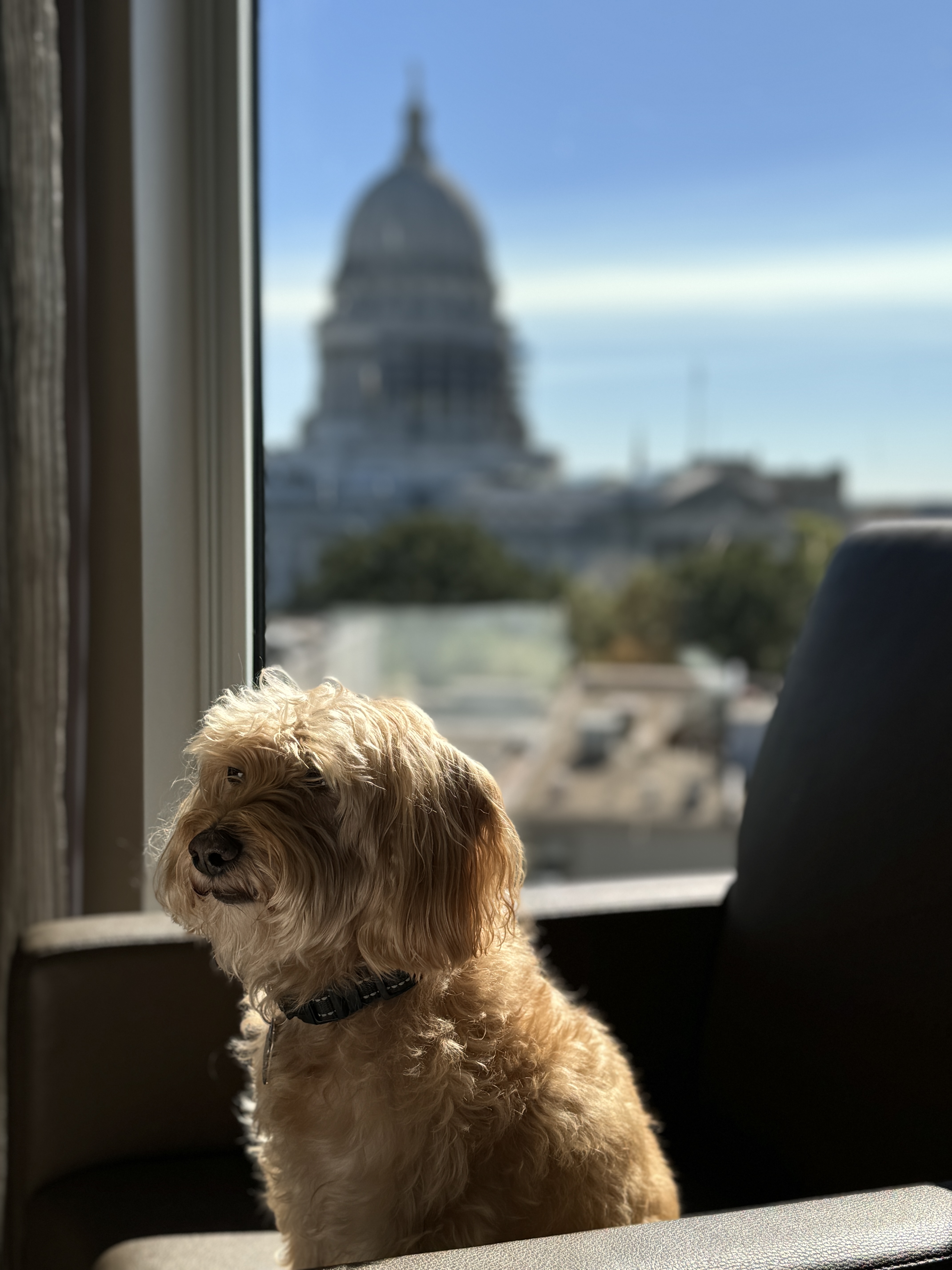 Sep 2, 2024: Visiting the Capitol, Madison, WI, USA