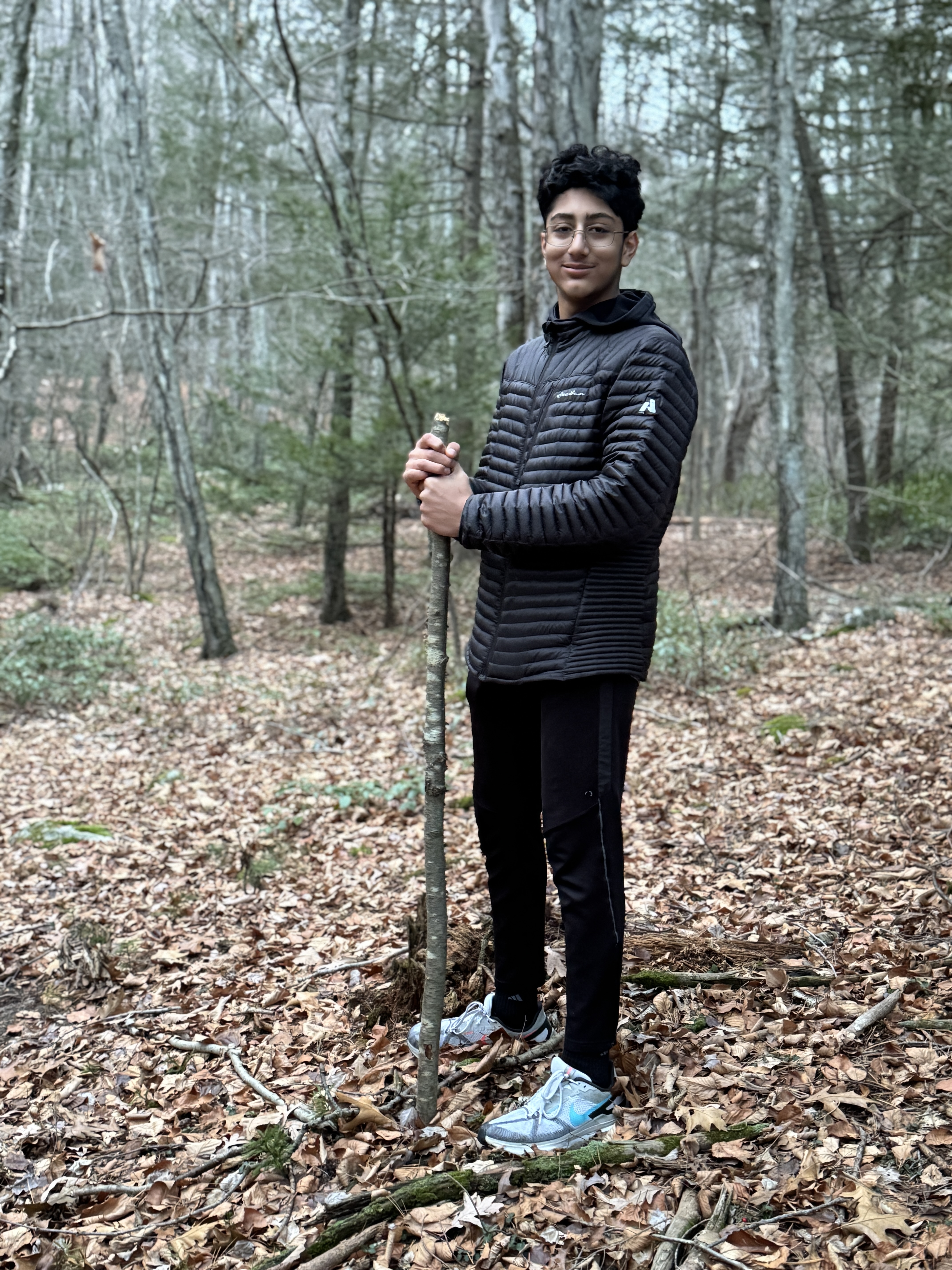 Nov 30, 2024: Tracking black bears, North Granby, CT, USA