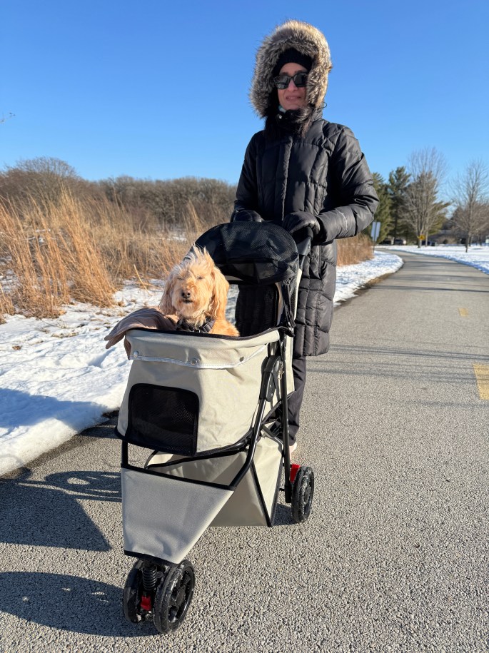 Feb 22, 2025: Bambi's new ride, in preparation for our Savannah trip