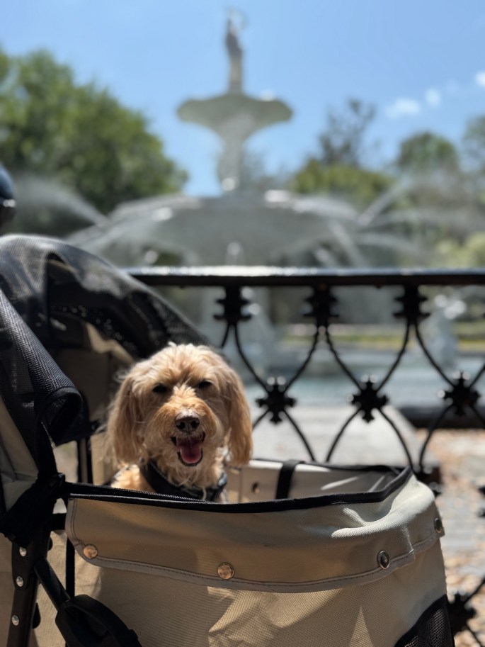 Apr 1, 2025: ‎⁨Riding through spots where Forest Gump was shot