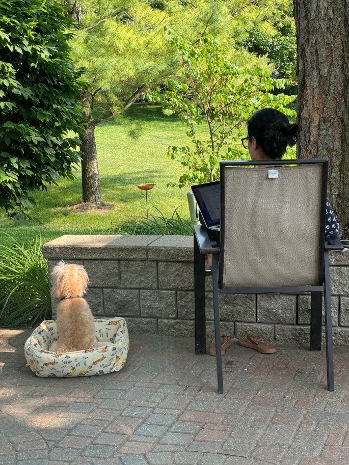 Jun 1, 2025: Patio study time
