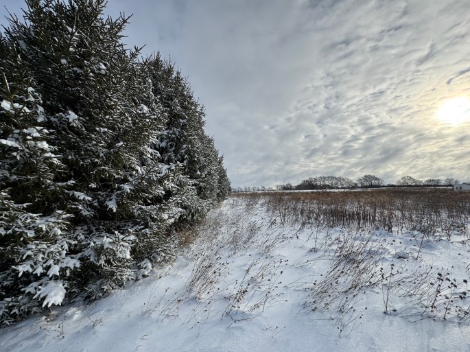 Nov 30, 2025: Prairie area around the dormitory
