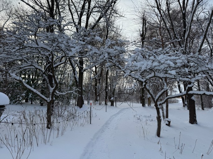 Nov 30, 2025: Path from dormitory to dining hall