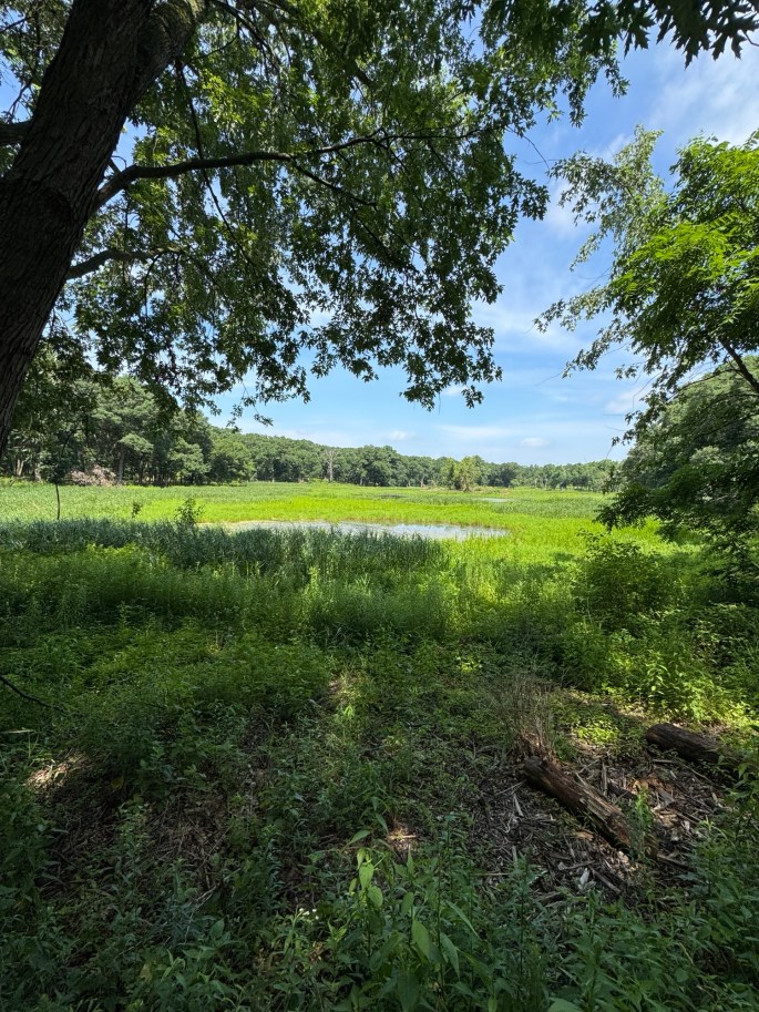 Jul 3, 2026: Maple Lake East trails was rugged and scenic