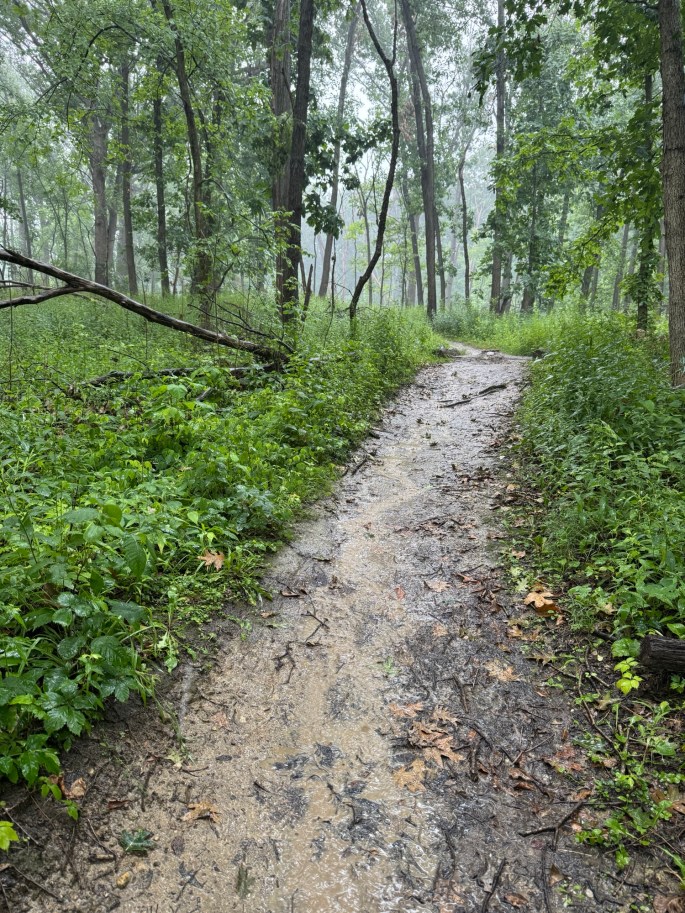 Jul 3, 2026: The trails during the torrential rain