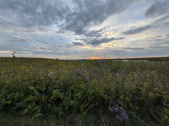Sep 25, 2026: Springbrook Prairie - A Beautiful Fall Evening