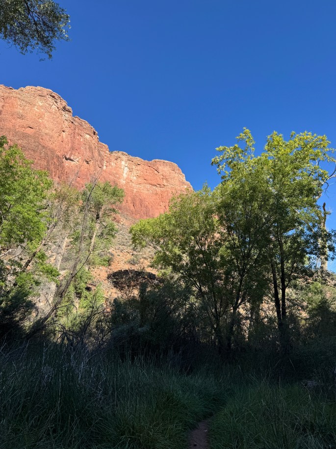 Oct 2, 2026: 9:41AM - Havasupai Gardens an Oasis in the Grand Canyon