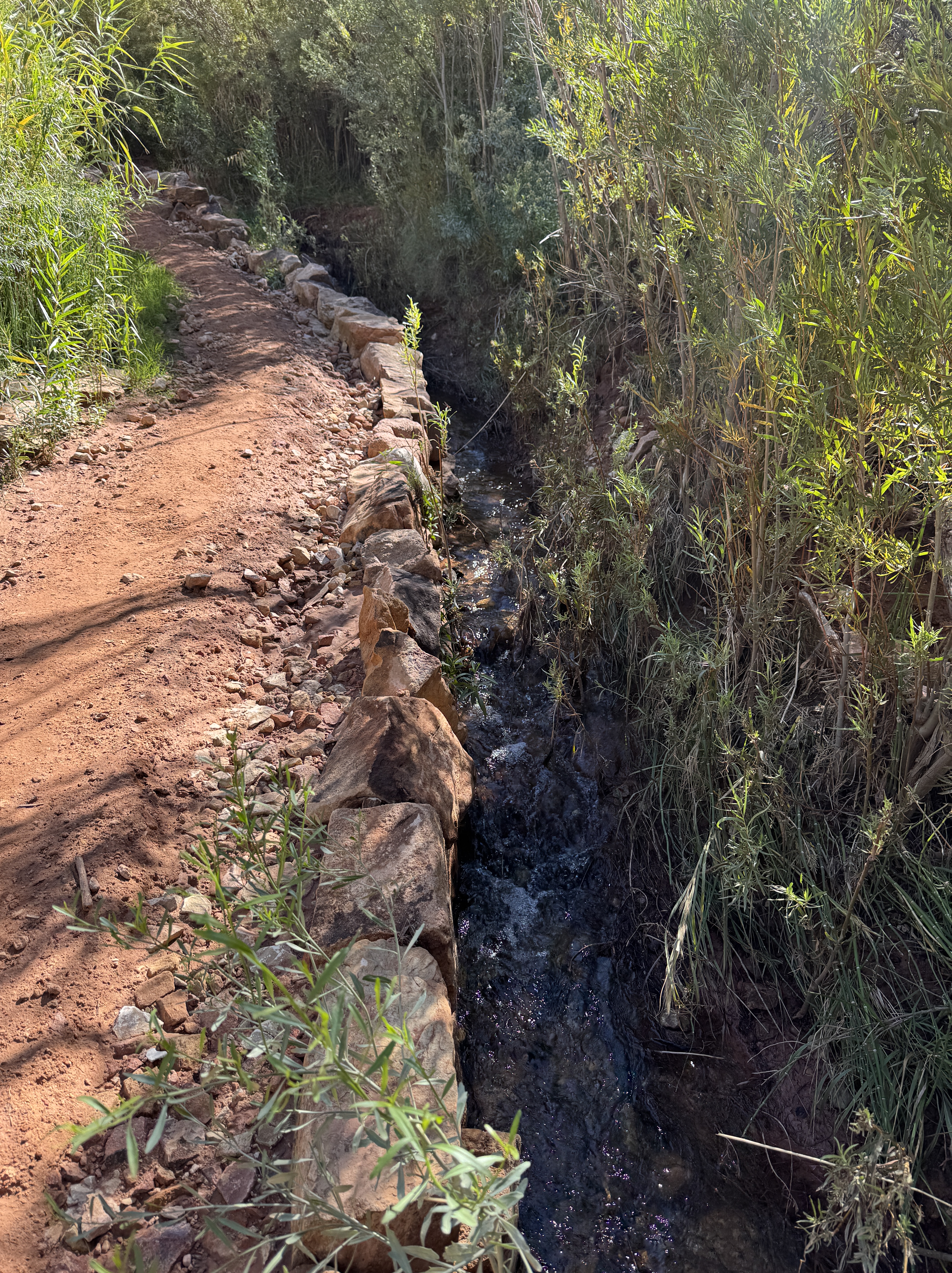 Oct 2, 2026: 2:28PM - Creeks galore