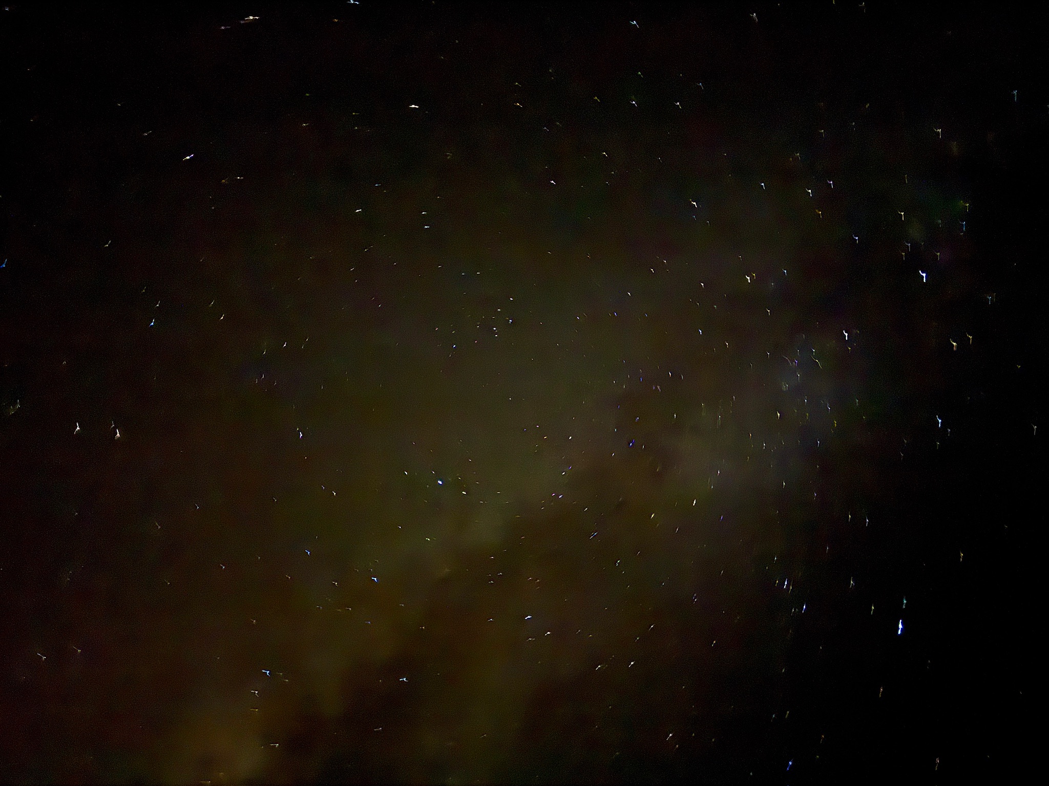 Oct 2, 2026: 7:20PM - Stargazing with Krishnan